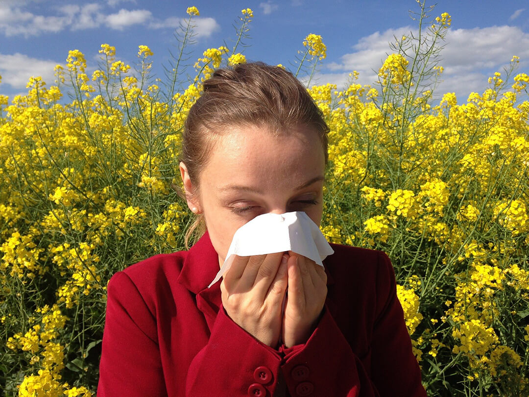 Allergia, vagy koronavírus? Ne essünk pánikba!